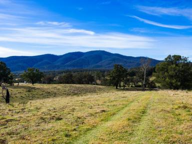 Residential Block For Sale - NSW - Cobargo - 2550 - VACANT LAND, COBARGO GRAZING PROPERTY  (Image 2)