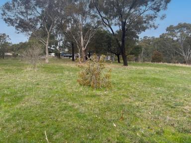 Residential Block For Sale - VIC - Dunkeld - 3294 - Sensational 1.5 Acre Block - Awesome Location  (Image 2)