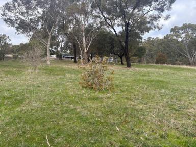 Residential Block For Sale - VIC - Dunkeld - 3294 - Sensational 1.5 Acre Block - Awesome Location  (Image 2)