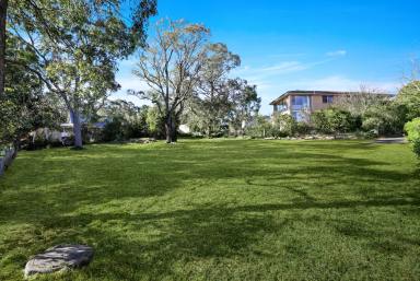 Residential Block For Sale - NSW - Bundanoon - 2578 - 1,161sqm in Leafy Bundanoon  (Image 2)