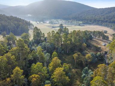 Other (Rural) For Sale - TAS - Liena - 7304 - Liena Land  (Image 2)