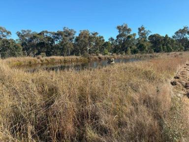 Residential Block For Sale - QLD - Glen Aplin - 4381 - Wine country getaway  (Image 2)