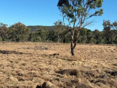 Residential Block For Sale - QLD - Glen Aplin - 4381 - Wine country getaway  (Image 2)