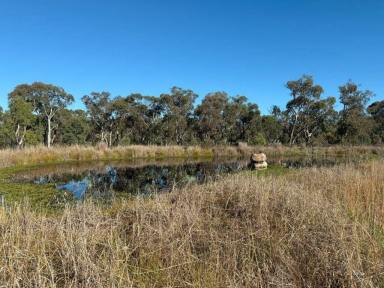 Residential Block For Sale - QLD - Glen Aplin - 4381 - Wine country getaway  (Image 2)