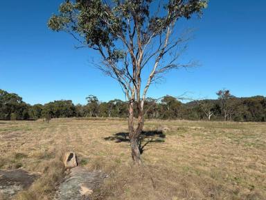 Residential Block For Sale - QLD - Glen Aplin - 4381 - Wine country getaway  (Image 2)