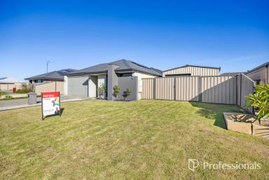 House For Sale - WA - Australind - 6233 - Step Into Something Special at 12 Groundlark Road, Treendale  (Image 2)