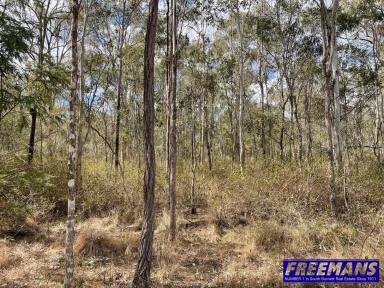Residential Block For Sale - QLD - Nanango - 4615 - 5 ACRES - MINUTES FROM TOWN  (Image 2)