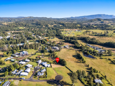 Residential Block For Sale - NSW - Nimbin - 2480 - Build Your Dream Home!  (Image 2)
