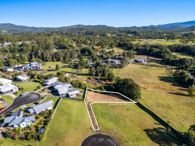 Residential Block For Sale - NSW - Nimbin - 2480 - Build Your Dream Home!  (Image 2)
