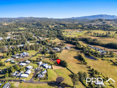 Residential Block For Sale - NSW - Nimbin - 2480 - Build Your Dream Home!  (Image 2)