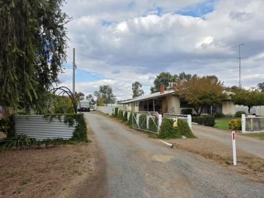 House For Sale - NSW - Yanco - 2703 - If you're after space, functionality, and a well-maintained home with room to grow, 50 Dallas Street delivers it all.  (Image 2)