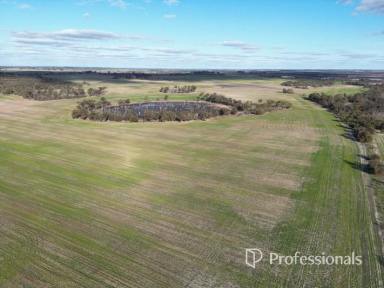 Cropping For Sale - WA - Katanning - 6317 - Leppard Road, Katanning  (Image 2)