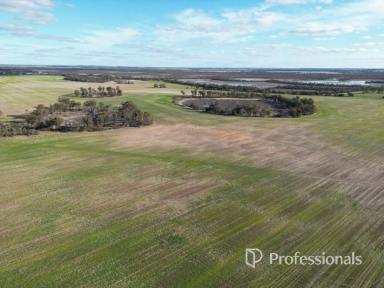 Cropping For Sale - WA - Katanning - 6317 - Leppard Road, Katanning  (Image 2)