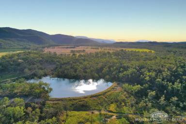Lifestyle For Sale - QLD - Paddys Green - 4880 - 41 ACRES - PRIVATE & ELEVATED  (Image 2)