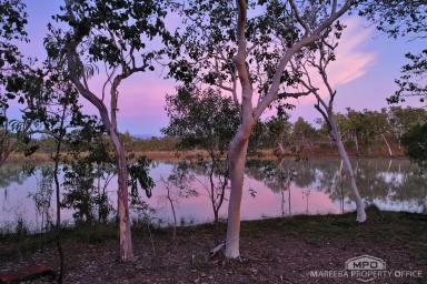Lifestyle For Sale - QLD - Paddys Green - 4880 - 41 ACRES - PRIVATE & ELEVATED  (Image 2)