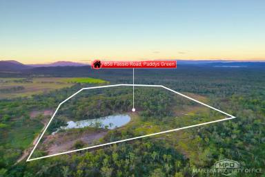 Lifestyle For Sale - QLD - Paddys Green - 4880 - 41 ACRES - PRIVATE & ELEVATED  (Image 2)