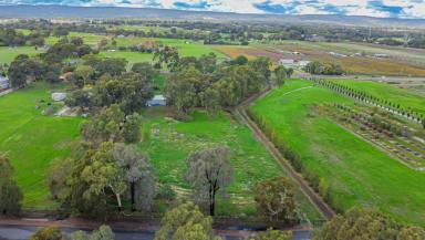 House For Sale - WA - West Swan - 6055 - 4.5 acres with 2 road access  (Image 2)