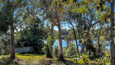 Residential Block For Sale - QLD - Macleay Island - 4184 - Elevated 941m² Block - Potential Water Views & Walk to Golf Course  (Image 2)