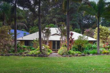 House For Sale - QLD - Cooran - 4569 - Affordable Country Living - Walk to Everything  (Image 2)