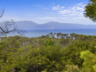 House For Sale - VIC - Walkerville - 3956 - Spectacular sea views and space to spread out.  (Image 2)