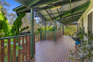 House For Sale - QLD - Glenwood - 4570 - DUAL LIVING DOUBLE THE CHARM  (Image 2)
