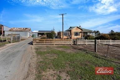 House For Sale - SA - Kersbrook - 5231 - LOOKING FOR A HOBBY FARM?  (Image 2)