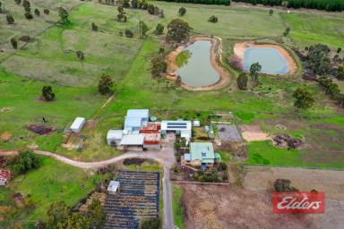 House For Sale - SA - Kersbrook - 5231 - LOOKING FOR A HOBBY FARM?  (Image 2)