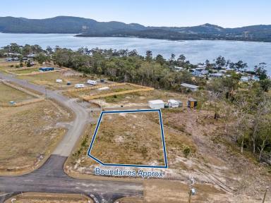 Residential Block For Sale - TAS - White Beach - 7184 - Ideal building block  (Image 2)