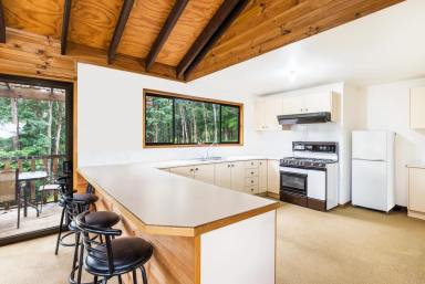 House For Lease - NSW - Broughton Vale - 2535 - Escape to the serenity of "Willandra,"  (Image 2)