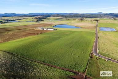 Mixed Farming For Sale - TAS - Sassafras - 7307 - 'SPRING HILL'  (Image 2)