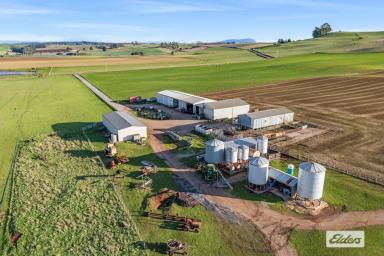 Mixed Farming For Sale - TAS - Sassafras - 7307 - 'SPRING HILL'  (Image 2)