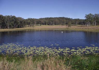 Mixed Farming For Sale - QLD - Goomboorian - 4570 - One of the best properties in the District!  (Image 2)