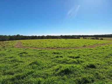 Mixed Farming For Sale - QLD - Goomboorian - 4570 - One of the best properties in the District!  (Image 2)