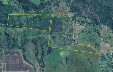 Residential Block For Sale - QLD - Lower Wonga - 4570 - LAND LAND & MORE LAND  (Image 2)