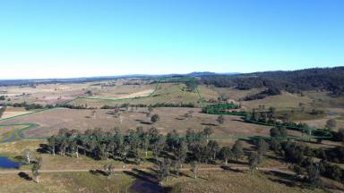Mixed Farming Auction - NSW - Doubtful Creek - 2470 - SORT AFTER 248 ACRES - LIVESTOCK & CROPPING  (Image 2)