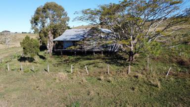 Mixed Farming Auction - NSW - Doubtful Creek - 2470 - SORT AFTER 248 ACRES - LIVESTOCK & CROPPING  (Image 2)