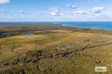 Mixed Farming Auction - TAS - Sea Elephant - 7256 - 125 HECTARES OF OPPORTUNITY (Image 2)