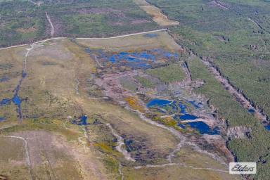 Mixed Farming For Sale - TAS - Sea Elephant - 7256 - DEVELOPMENT POTENTIAL  (Image 2)