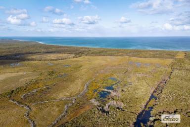 Mixed Farming Auction - TAS - Sea Elephant - 7256 - 125 HECTARES OF OPPORTUNITY (Image 2)