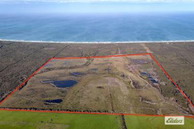 Mixed Farming For Sale - TAS - Sea Elephant - 7256 - DEVELOPMENT POTENTIAL  (Image 2)