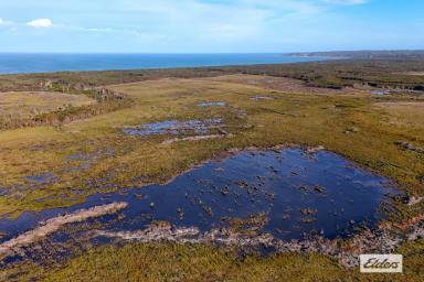 Mixed Farming Auction - TAS - Sea Elephant - 7256 - 125 HECTARES OF OPPORTUNITY (Image 2)
