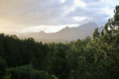 Business For Sale - QLD - Coolangatta - 4225 - Creative Coastal Lifestyle Business - Art - Printing - Picture Framing (Image 2)