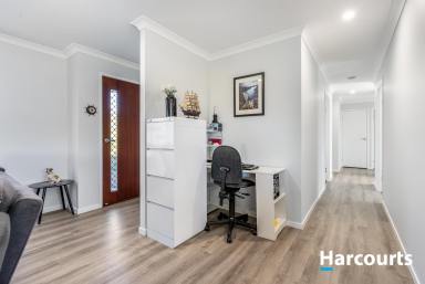 House For Sale - QLD - North Isis - 4660 - START LIVING THE DREAM IN ABINGTON HEIGHTS ESTATE !!!  (Image 2)