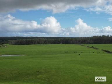 Mixed Farming For Sale - TAS - Lymwood - 7256 - EXCEPTIONAL OPPORTUNITY FOR LIVESTOCK OR CROPPING  (Image 2)