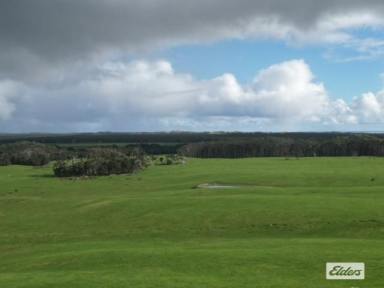 Mixed Farming Auction - TAS - Lymwood - 7256 - EXCEPTIONAL FARMING OPPORTUNITY ON MT STANLEY ROAD, KING ISLAND (Image 2)
