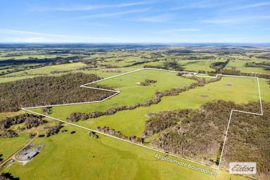 Mixed Farming Auction - TAS - Lymwood - 7256 - EXCEPTIONAL FARMING OPPORTUNITY ON MT STANLEY ROAD, KING ISLAND (Image 2)