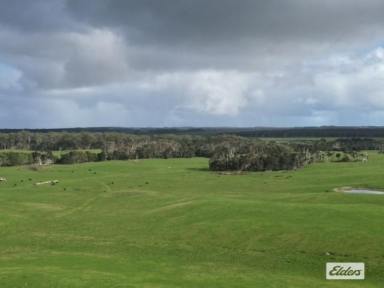 Mixed Farming For Sale - TAS - Lymwood - 7256 - EXCEPTIONAL OPPORTUNITY FOR LIVESTOCK OR CROPPING  (Image 2)