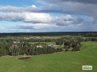 Mixed Farming Auction - TAS - Lymwood - 7256 - EXCEPTIONAL FARMING OPPORTUNITY ON MT STANLEY ROAD, KING ISLAND (Image 2)