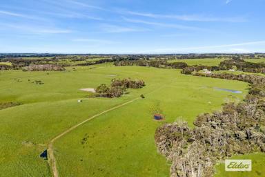 Mixed Farming Auction - TAS - Lymwood - 7256 - EXCEPTIONAL FARMING OPPORTUNITY ON MT STANLEY ROAD, KING ISLAND (Image 2)