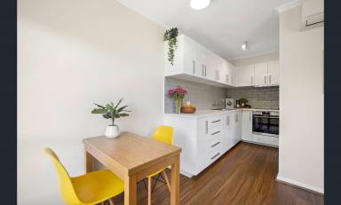 Unit For Lease - VIC - Mentone - 3194 - RENOVATED | BEACHSIDE LOCATION | LOW MAINTENANCE  (Image 2)